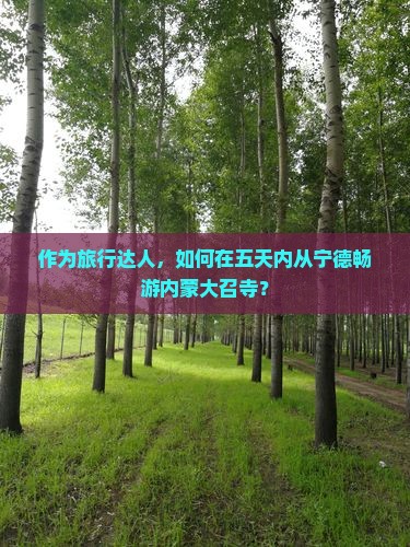 宁德去内蒙大召寺五日游