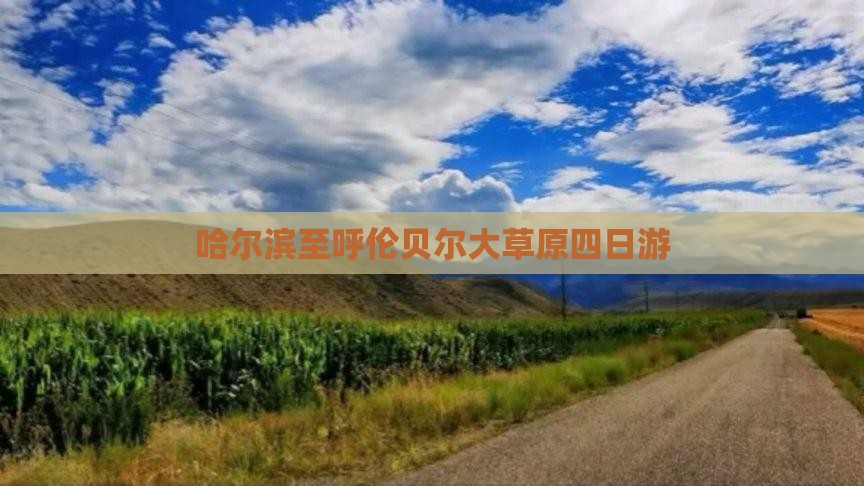 哈尔滨到内蒙呼伦贝尔大草原四日游