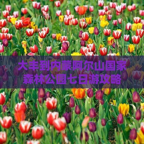 大丰到内蒙阿尔山国家森林公园七日游 大丰到内蒙阿尔山国家森林公园七日游