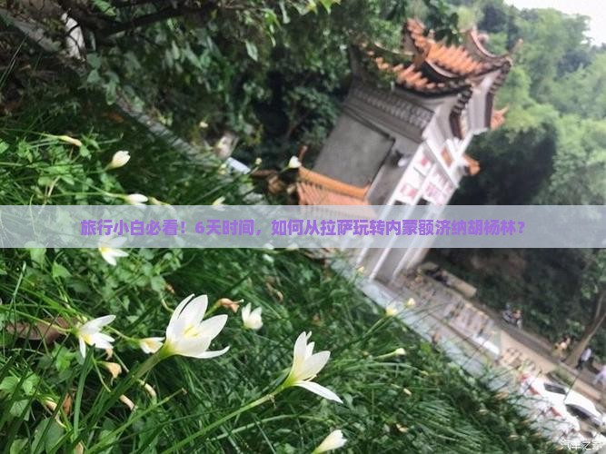 拉萨到内蒙额济纳胡杨林六日游