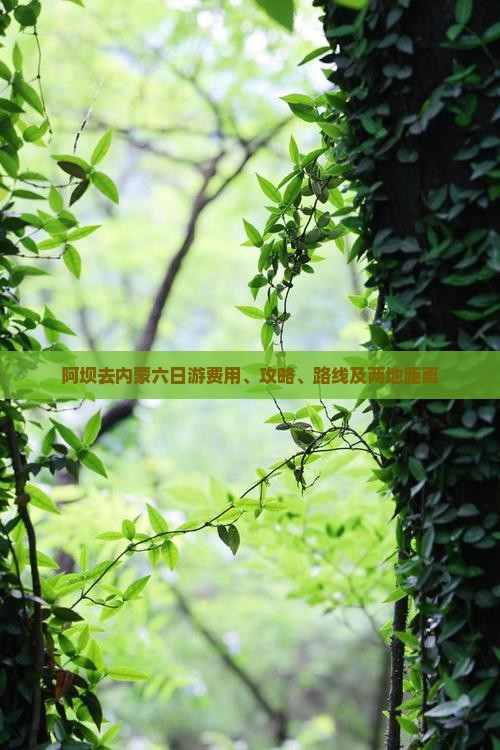 阿坝去内蒙六日游
