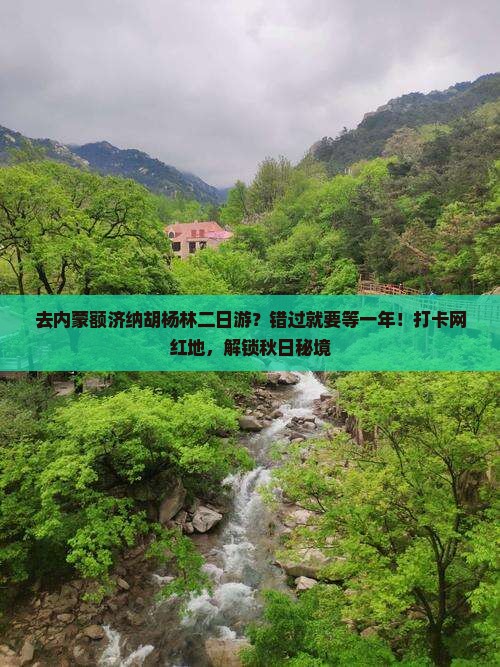 醴陵去内蒙额济纳胡杨林二日游