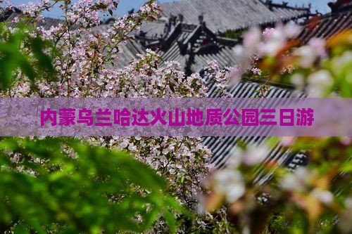 江门到内蒙乌兰哈达火山地质公园三日游