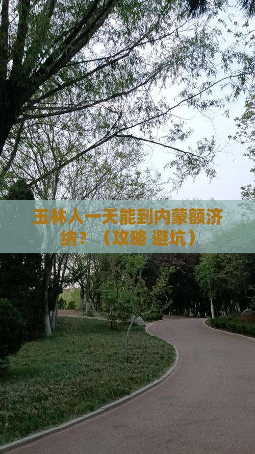 玉林到内蒙额济纳胡杨林一日游