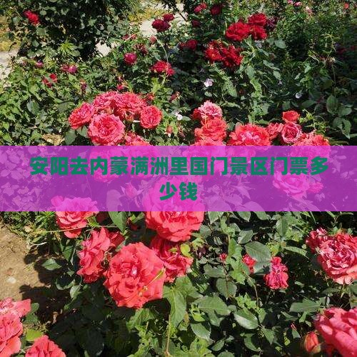 安阳去内蒙满洲里国门景区门票