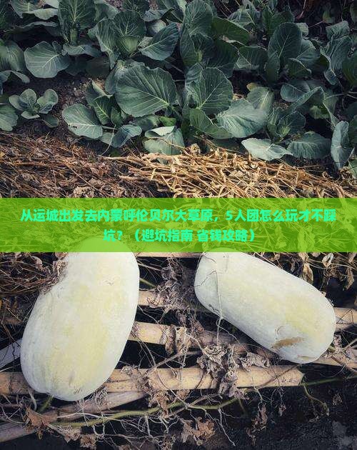 运城去内蒙呼伦贝尔大草原团体旅游