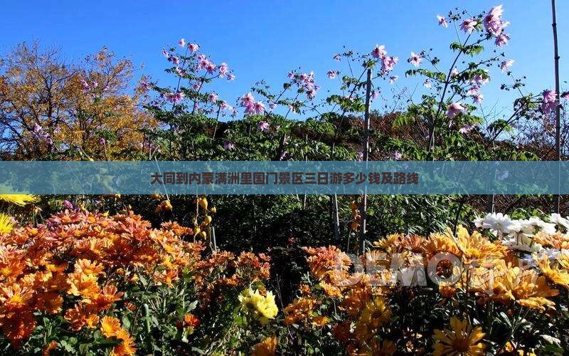 大同到内蒙满洲里国门景区三日游