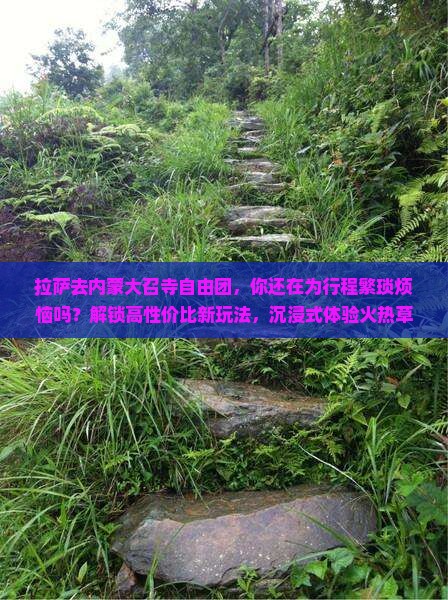 拉萨去内蒙大召寺自由团
