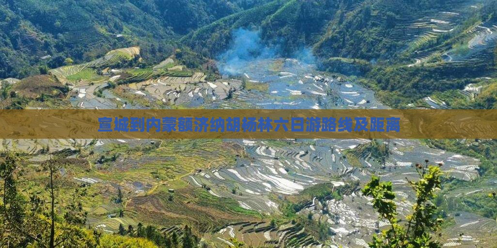 宣城到内蒙额济纳胡杨林六日游