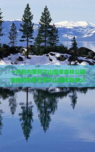 一月到内蒙阿尔山国家森林公园自由团