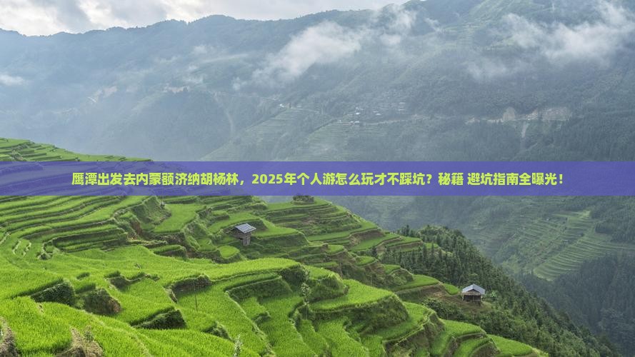 鹰潭去内蒙额济纳胡杨林个人游