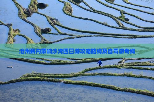 沧州到内蒙响沙湾四日游