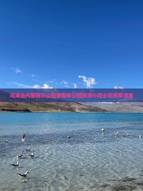 乌海去内蒙阿尔山国家森林公园旅游小吃