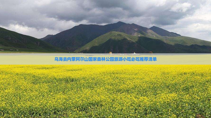 乌海去内蒙阿尔山国家森林公园旅游小吃
