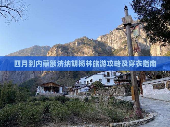 四月到内蒙额济纳胡杨林旅游