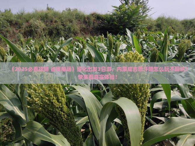 绥化到内蒙成吉思汗陵三日游