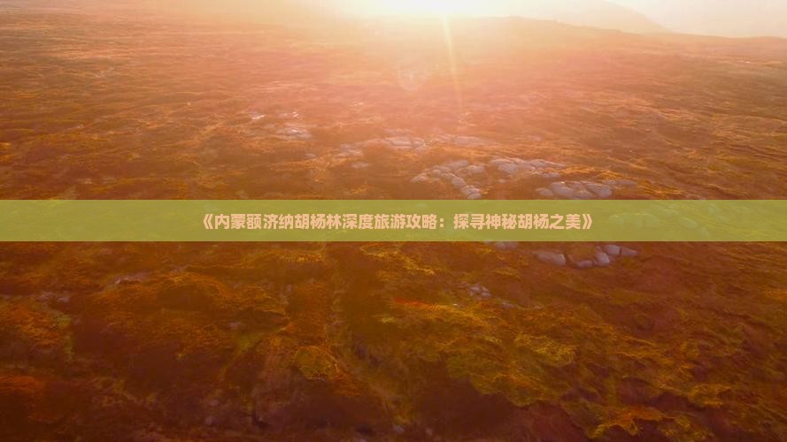 梧州去内蒙额济纳胡杨林旅游