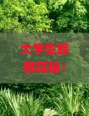 文山去内蒙五当召团体旅游