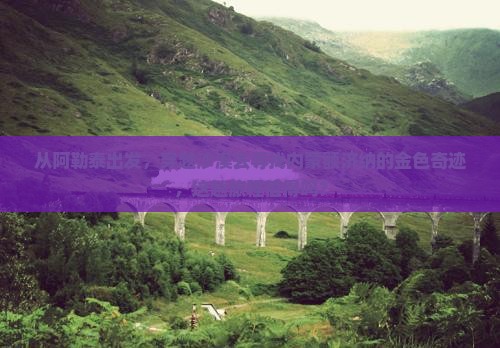阿勒泰到内蒙额济纳胡杨林二日游