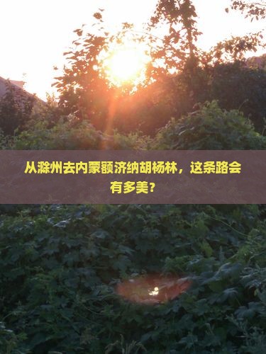 滁州到内蒙额济纳胡杨林旅行社