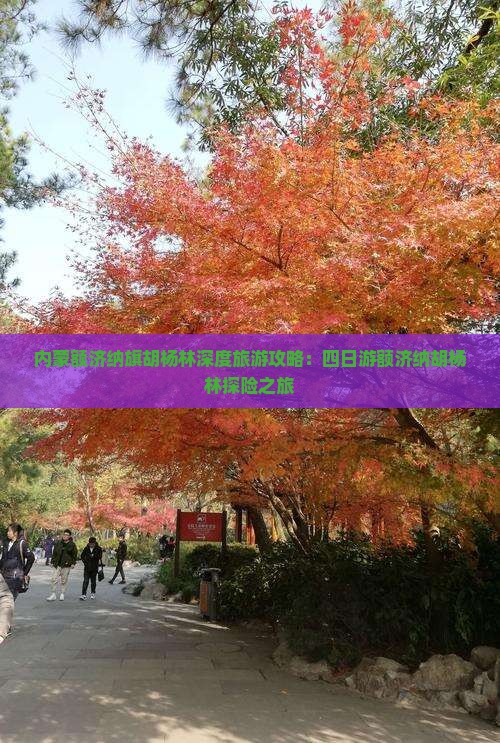 襄樊去内蒙额济纳胡杨林四日游