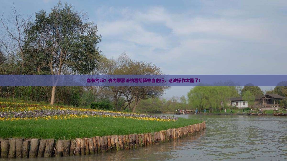 春节到内蒙额济纳胡杨林自由团