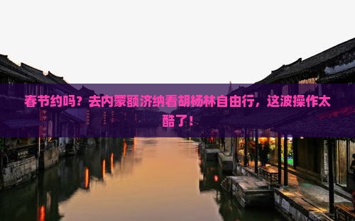春节到内蒙额济纳胡杨林自由团