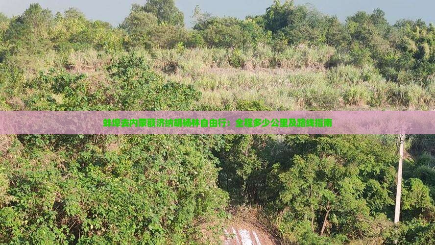 蚌埠去内蒙额济纳胡杨林自由行