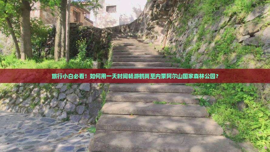 鹤岗去内蒙阿尔山国家森林公园一日游