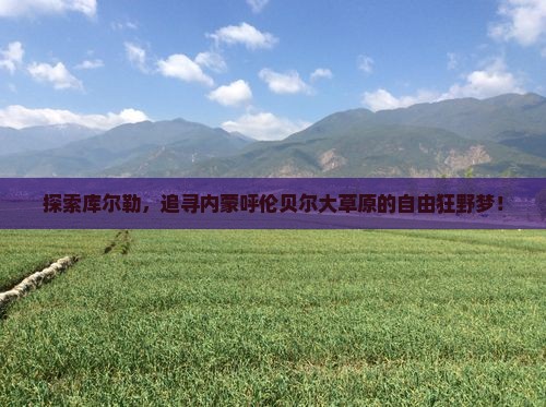 库尔勒到内蒙呼伦贝尔大草原哪里玩