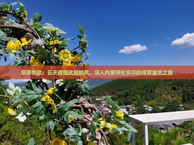 武威去内蒙呼伦贝尔大草原五日游