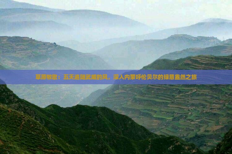 武威去内蒙呼伦贝尔大草原五日游