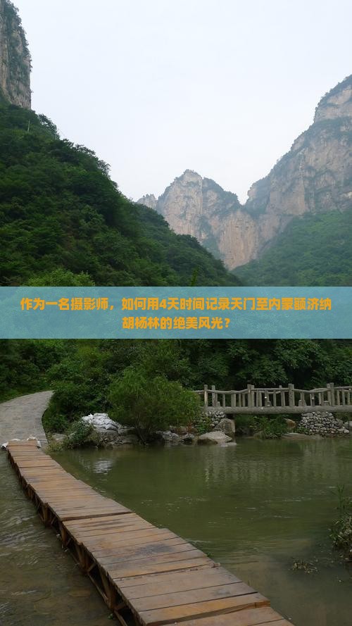 天门去内蒙额济纳胡杨林四日游