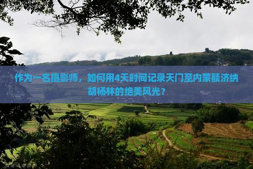 天门去内蒙额济纳胡杨林四日游