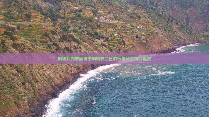 桐城到内蒙额济纳胡杨林二日游
