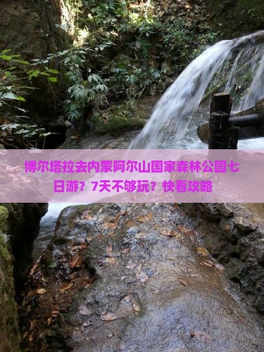 博尔塔拉去内蒙阿尔山国家森林公园七日游