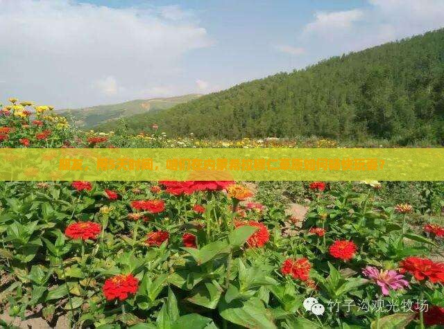 巴彦倬尔去内蒙希拉穆仁草原五日游