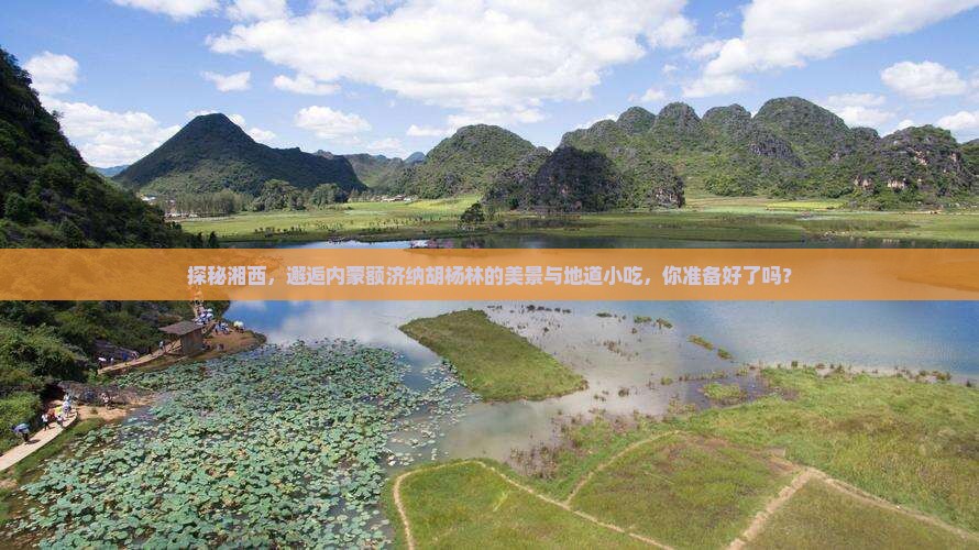 湘西到内蒙额济纳胡杨林旅游小吃