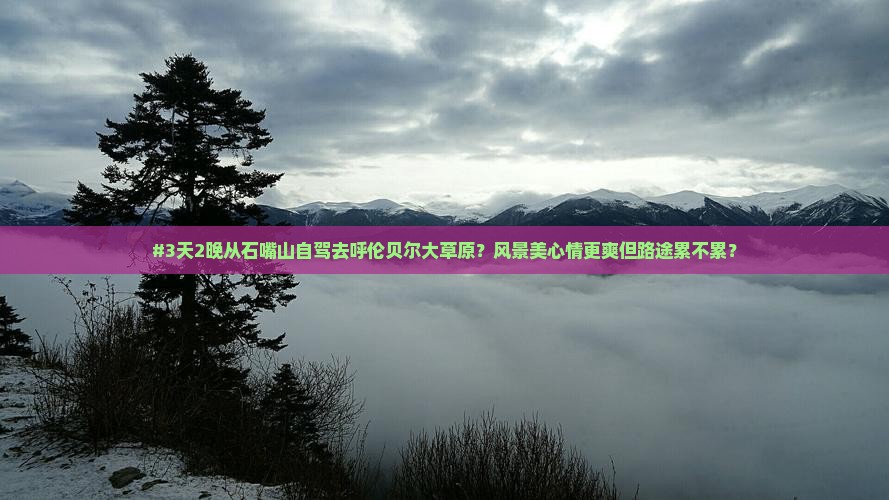 石嘴山到内蒙呼伦贝尔大草原个人游