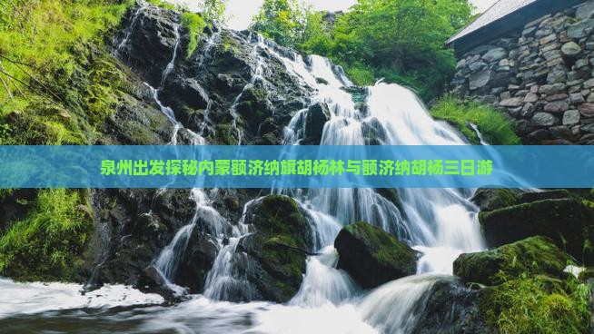 泉州去内蒙额济纳胡杨林三日游