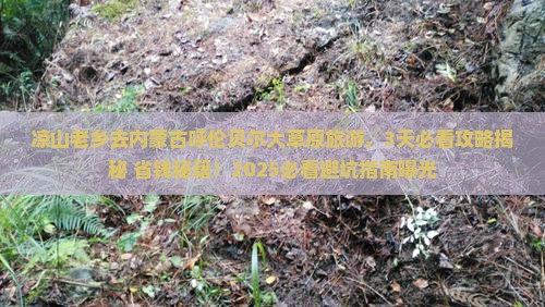 凉山去内蒙呼伦贝尔大草原旅游