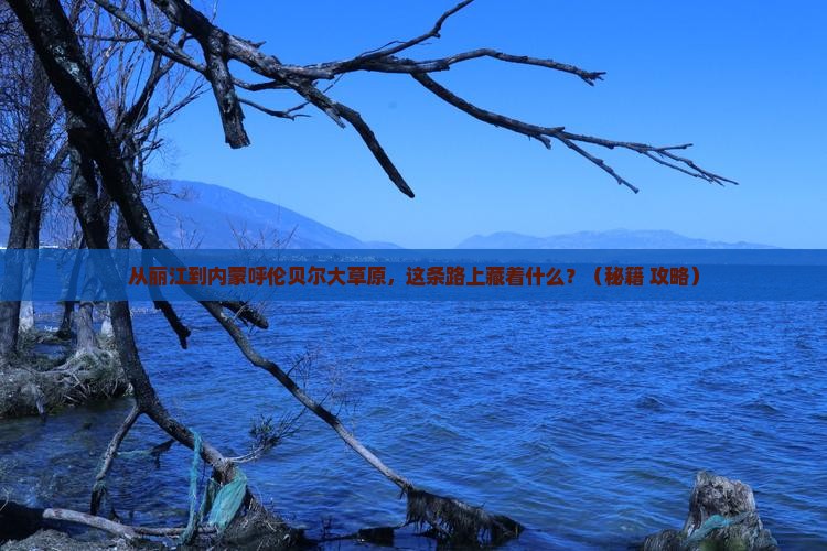 丽江去内蒙呼伦贝尔大草原必去地