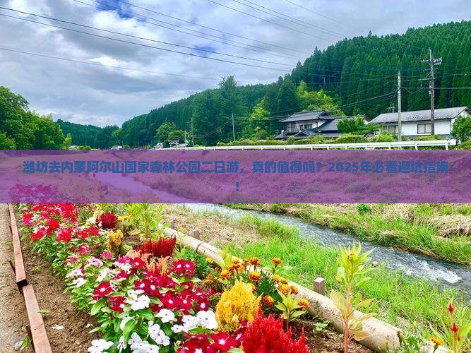 潍坊去内蒙阿尔山国家森林公园二日游 潍坊去内蒙阿尔山国家森林公园二日游