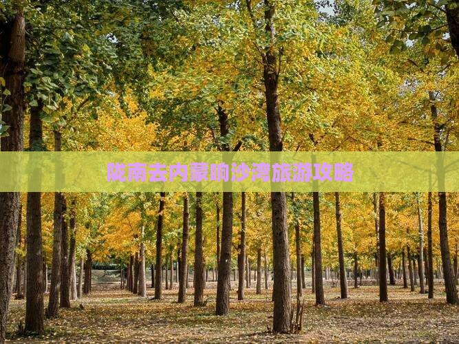 陇南去内蒙响沙湾大型旅游团