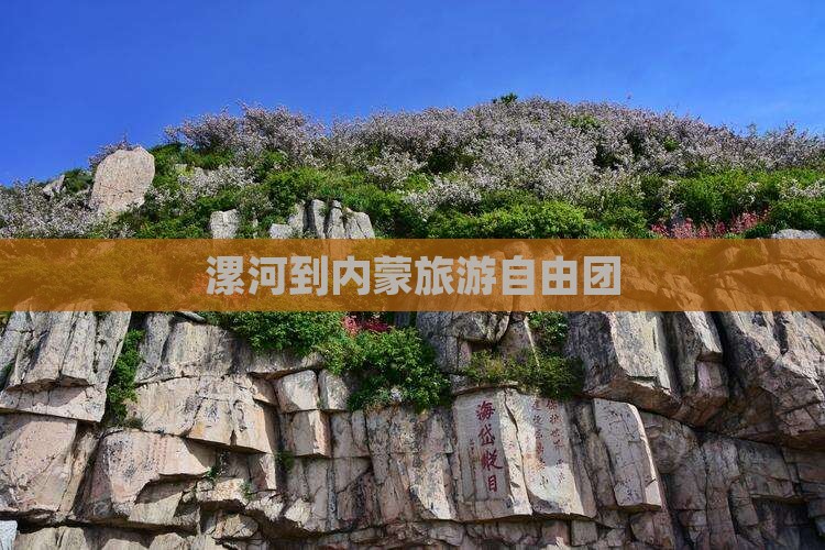 漯河到内蒙自由团