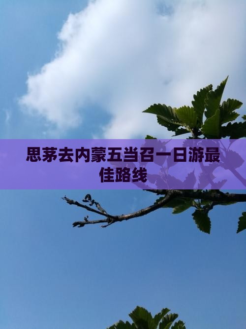 思茅去内蒙五当召一日游