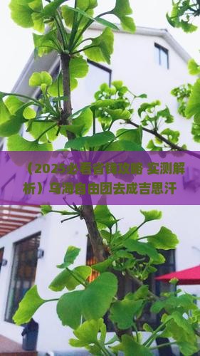 乌海市到内蒙成吉思汗陵自由团
