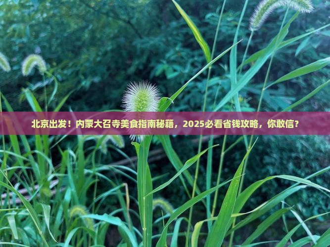 北京去内蒙大召寺旅游小吃