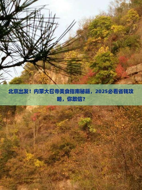 北京去内蒙大召寺旅游小吃