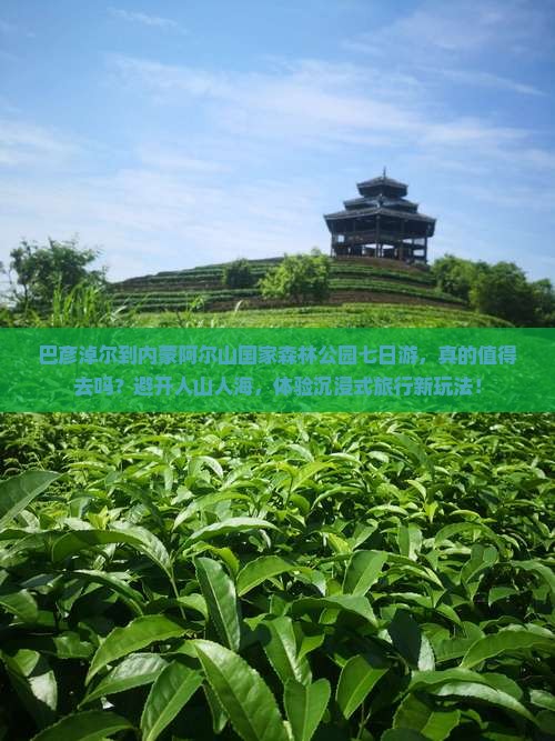 巴彦淖尔到内蒙阿尔山国家森林公园七日游